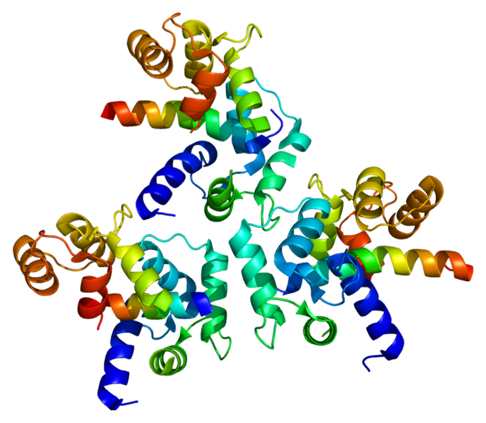 688px-Protein_CACNA1D_PDB_2be6