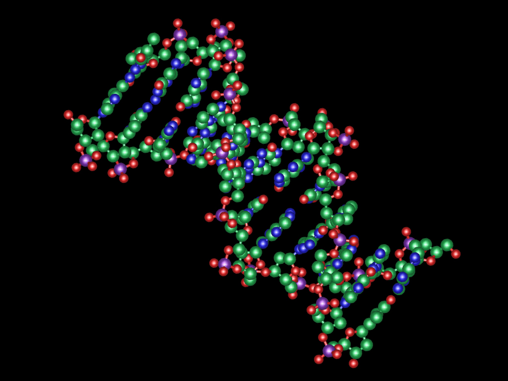 Вторичный код, скрывающийся в последовательности молекул ДНК, был обнаружен группой ученых из Вашингтонского университета (University of Washington, UW).