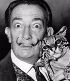 "The only difference between me and a madman is that I am not mad." --- Salvador Dali (credit: Wikipedia)