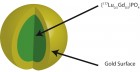 the nanoparticles as designed by Lewis and Robertson. The green interior depicts the radioactive lutetium surrounded by a gold shell. Credit can go to Michael Lewis, University of Missouri and Harry S. Truman Memorial Veterans’ Hospital.