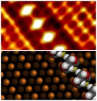 A high-resolution scanning tunneling microscope image (top) and density functional theory-calculated structures (bottom) reveal the formation of a well-organized PEDOT polymer (ORNL)
