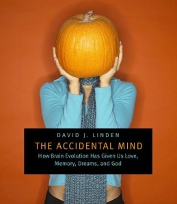 Accidental Mind book cover