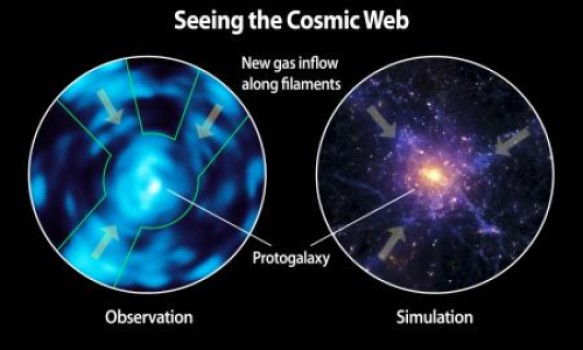 cosmic_web