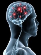 Can a protein called SIRT1 in your head boost brain power, learning and memory? (iStockphoto)