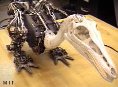 Troody, a robot 
dinosaur built at MIT