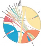 A plot of human RNA-RNA interactions detected by ligr-seq (credit: University of Toronto)