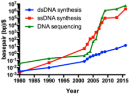 Efficiency trends in DNA sequencing (green) and synthesis of double-stranded DNA (dsDNA, blue) and single-stranded DNA (ssDNA, red) over the past ~35 years. Double-stranded DNA, or<br />
gene synthesis, has improved noticeably over the past ~10 years, but still lags behind<br />
sequencing and ssDNA synthesis. The disruptive improvement in sequencing and ssDNA (oligonucleotides) synthesis technologies has improved from multiplex and miniaturization technologies in high-throughput DNA sequencing and oligo microarray technologies, respectively. Commercial gene synthesis technologies relies on both oligo synthesis (building blocks) and sequencing (validation of synthesis) technologies. (credit: Jef D. Boeke/Science)