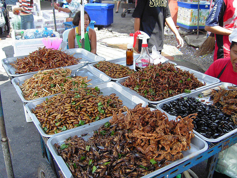 800px-Insect_food_stall