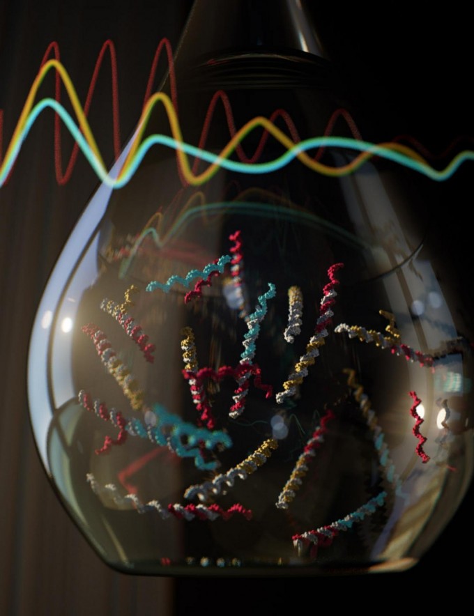 This is a chemical oscillator. (credit: Image courtesy of Ella Maru Studio and Cody Geary)