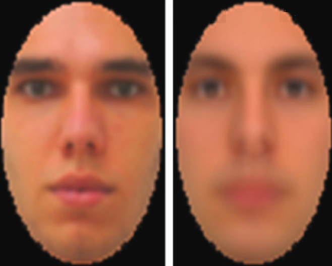 (left) Test image. (right) Brain's image captured by EEG and decoded. (credit: Dan Nemrodov et al./eNeuro