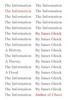 The Information book cover