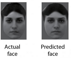 actual vs predicted face ft