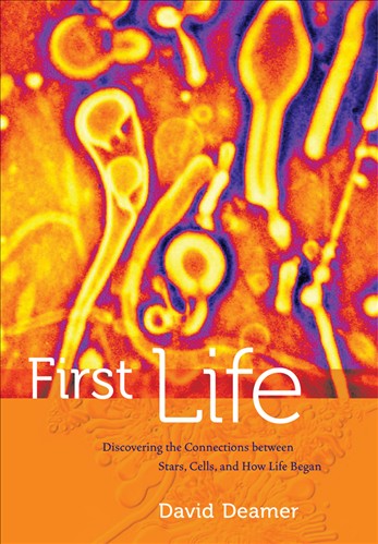 First Life book cover