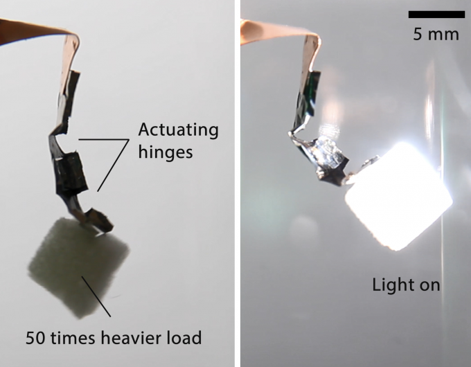 A “mini arm” made by two hinges of actuating nickel hydroxide-oxyhydroxide material (left) can lift an object 50 times of its weight when triggered (right) by light or electricity. (credit: University of Hong Kong)
