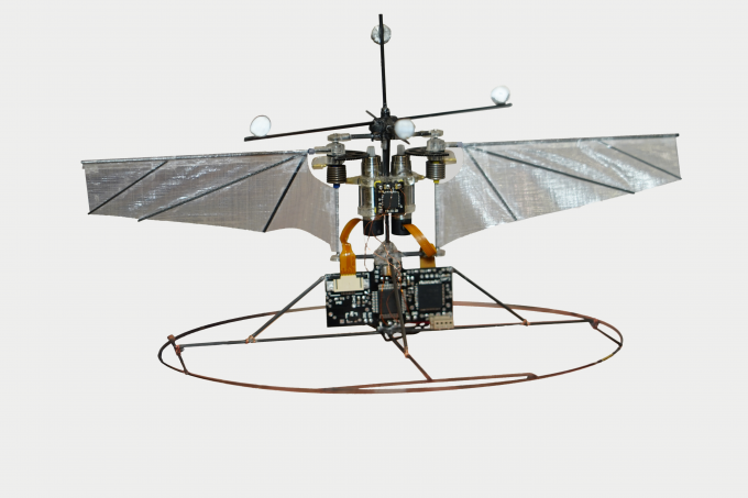 photo - robot hummingbird - no. 4