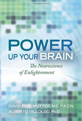 Power Up Your Brain book cover