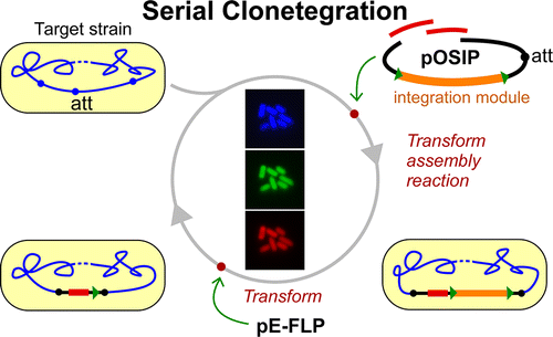 serial_clonetegration